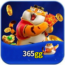 365gg